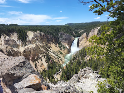 Yellowstone National Park thumb 4